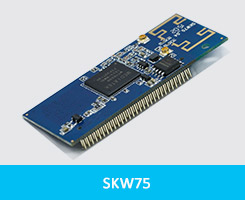 2x2 MIMOWiFi模块SKW75