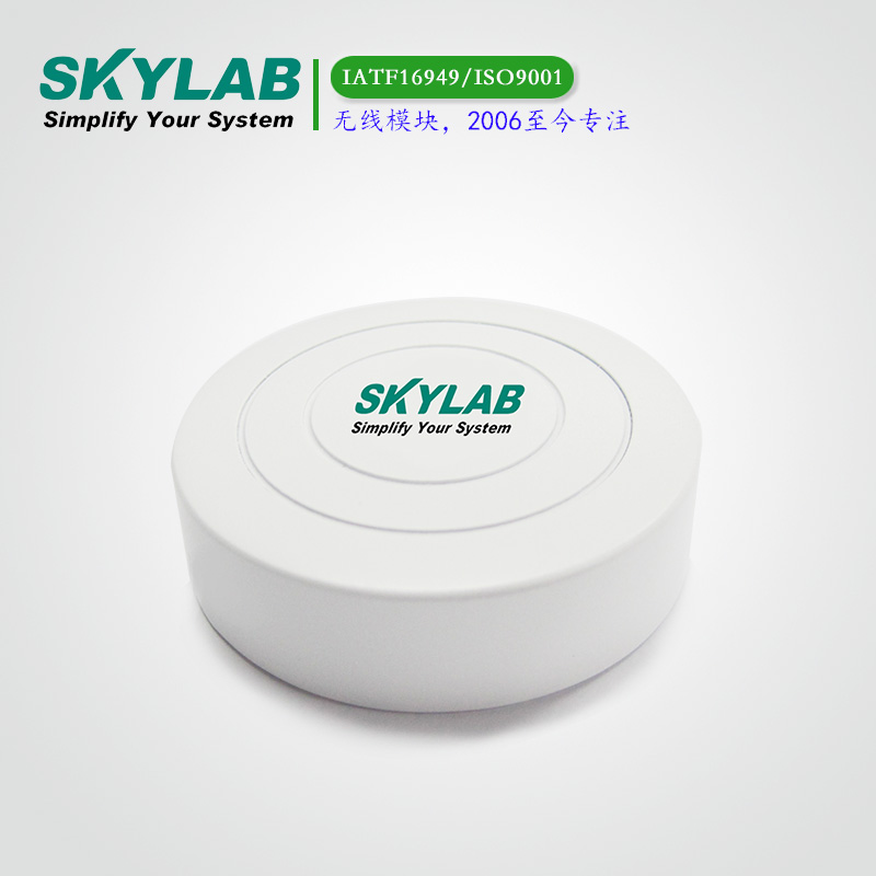 SKYLAB Beacon VG01