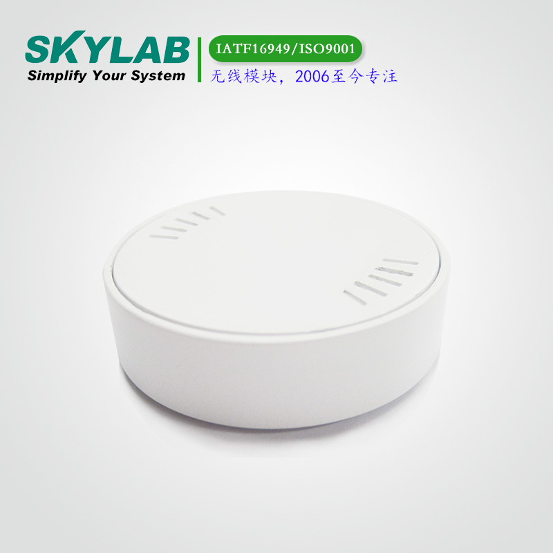 SKYLAB Beacon VG01