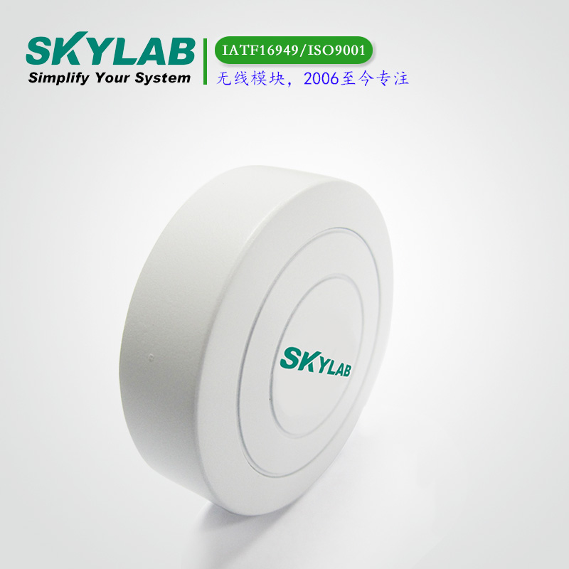 SKYLAB Beacon VG01