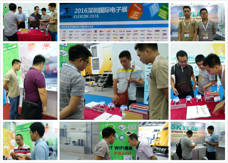 SKYLAB展会客户咨询智能家居产品 SKYLAB展会客户咨询智能家居产品