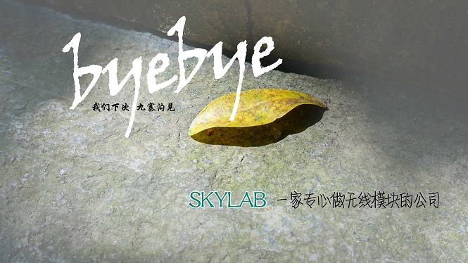 SKYLAB，一家做无线模块的公司
