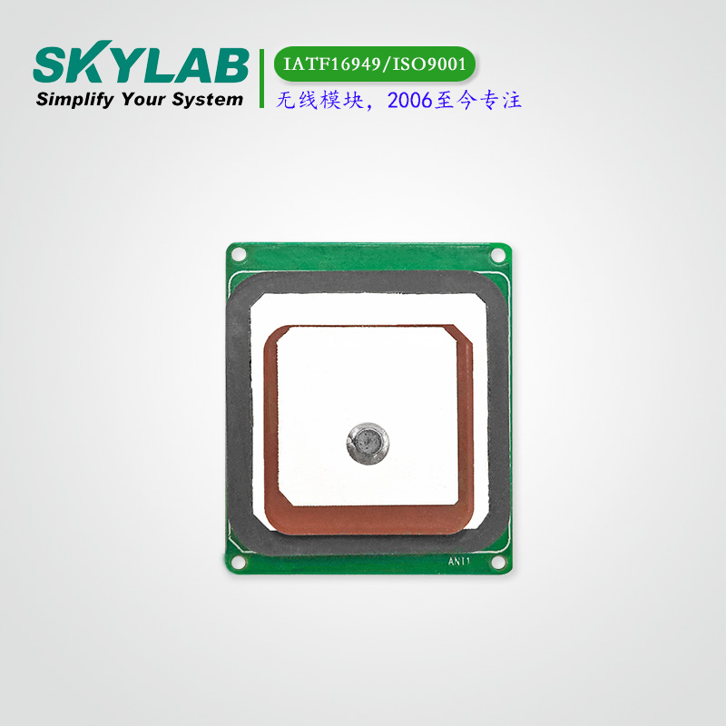 双频多模天线一体化模块SKM89