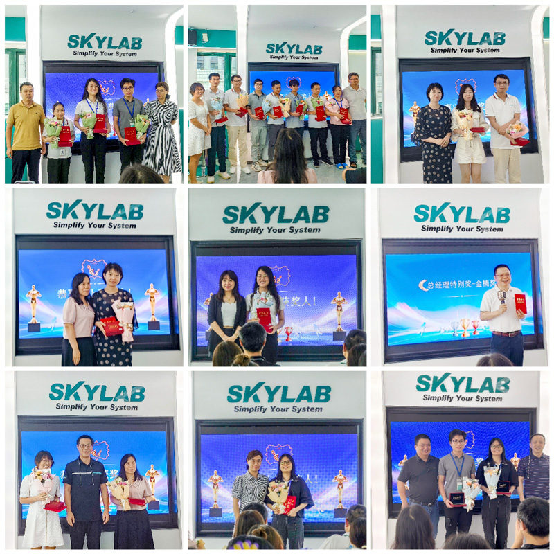 凝心聚力，筑梦前行|SKYLAB 2022年度表彰大会精彩回顾.jpg